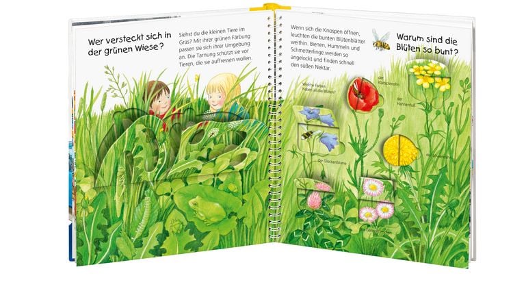 Produktbild: Wieso? Weshalb? Warum? junior, Band 13 - Welche Farbe ist das?