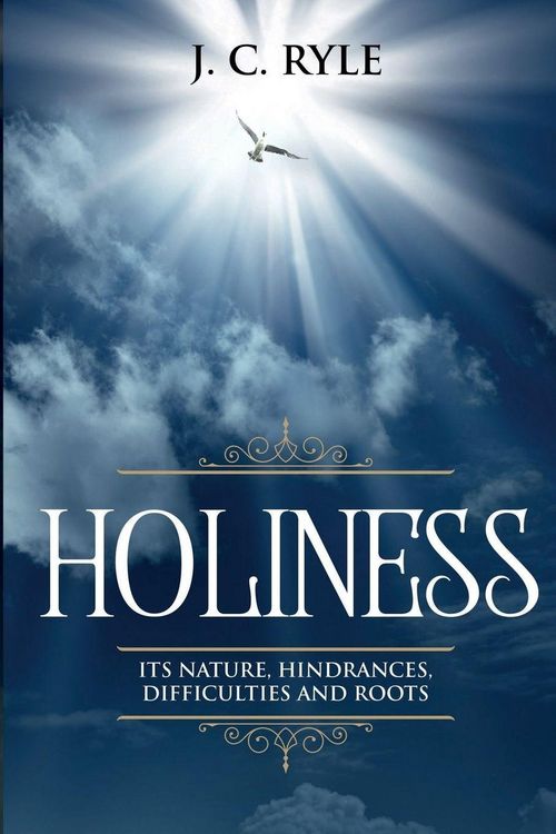 Produktbild: Holiness