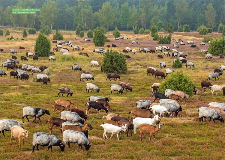 Produktbild: Campergl&uuml;ck Deutschlands Norden
