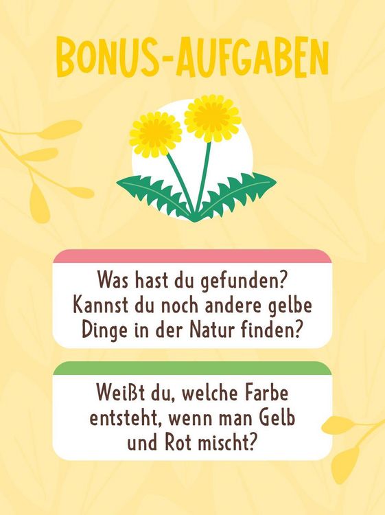 Produktbild: Suchen, Finden, Staunen &ndash; Meine Entdeckerkarten &ndash; Natur