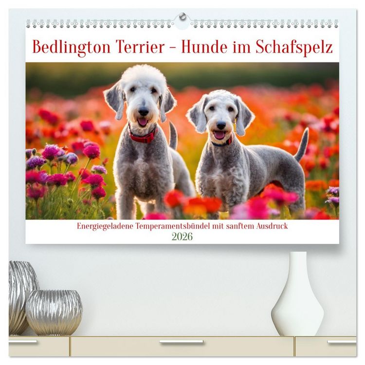 Produktbild: Bedlington Terrier - Hunde im Schafspelz (hochwertiger Premium Wandkalender 2026 DIN A2 quer), Kunstdruck in Hochglanz