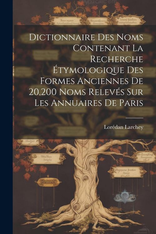 Produktbild: Dictionnaire Des Noms Contenant La Recherche &Eacute;tymologique Des Formes Anciennes De 20,200 Noms Relev&eacute;s Sur Les Annuaires De Paris