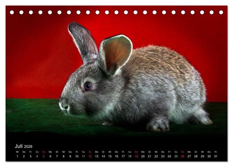 Produktbild: Lustige Kaninchen (Tischkalender 2026 DIN A5 quer), CALVENDO Monatskalender