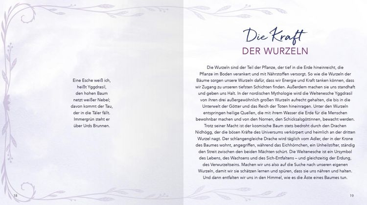 Produktbild: Die Magie der Raun&auml;chte