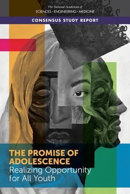 Produktbild: The Promise of Adolescence