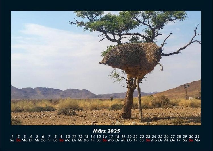 Produktbild: Landschaftskalender 2025 Fotokalender DIN A4