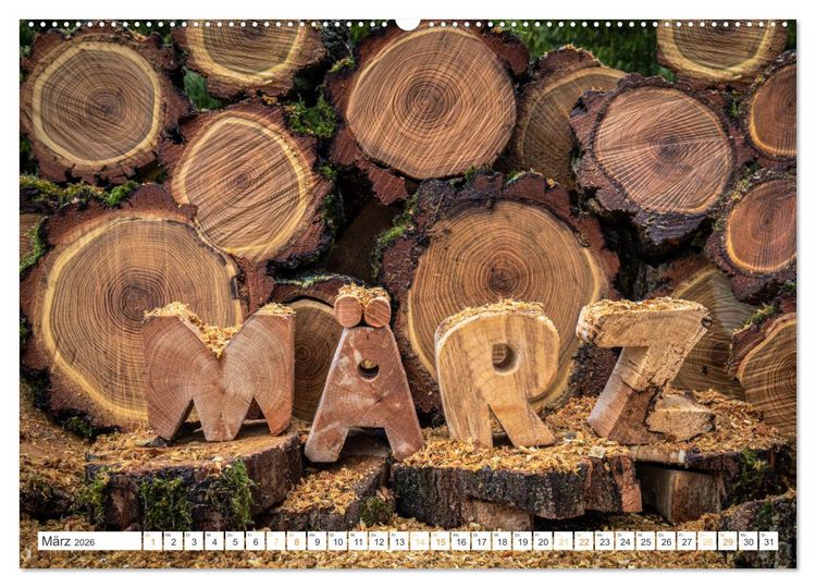 Produktbild: Holz, ein fantastischer Rohstoff. (hochwertiger Premium Wandkalender 2026 DIN A2 quer), Kunstdruck in Hochglanz