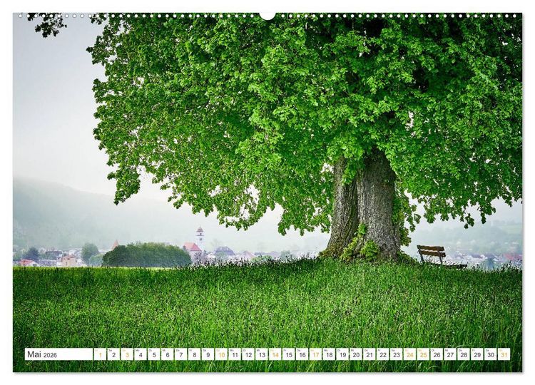 Produktbild: B&auml;ume im Altm&uuml;hltal (Wandkalender 2026 DIN A2 quer), CALVENDO Monatskalender