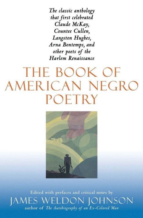Produktbild: The Book Of American Negro Poetry