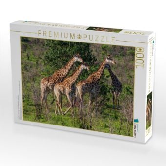 Produktbild: CALVENDO Puzzle Giraffen unterwegs zum Wasserloch, S&uuml;dafrika | 1000 Teile Lege-Gr&ouml;&szlig;e 64x48cm Foto-Puzzle f&uuml;r gl&uuml;ckliche Stunden
