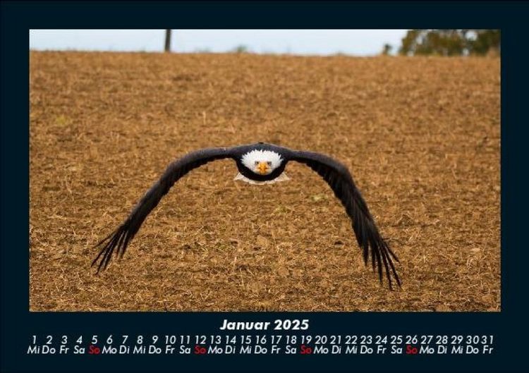 Produktbild: Adler 2025 Fotokalender DIN A5