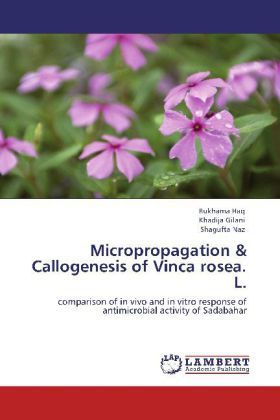 Produktbild: Haq, R: Micropropagation & Callogenesis of Vinca rosea. L.