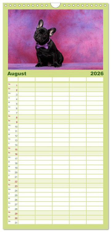Produktbild: Familienplaner 2026 - Der Bully - Kalender Familienplaner hoch mit 5 Spalten (Wandkalender, 21 x 45 cm) CALVENDO