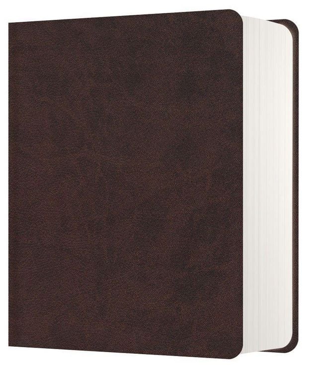 Produktbild: Ne&Uuml; bibel.heute LIEBEZURBIBEL