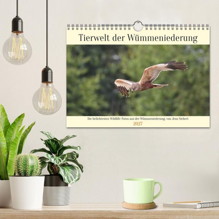 Produktbild: Tierwelt der W&uuml;mmeniederung (Wandkalender 2027 DIN A4 quer), CALVENDO Monatskalender