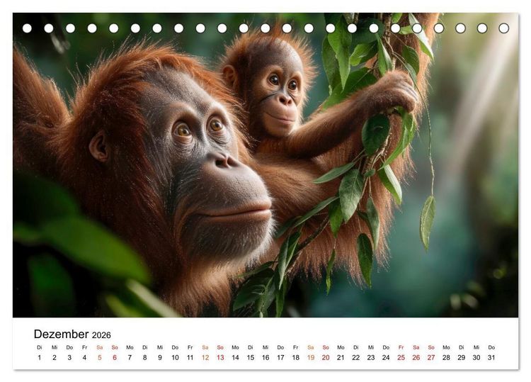 Produktbild: Orang Utans - Leben in den Baumkronen (Tischkalender 2026 DIN A5 quer), CALVENDO Monatskalender