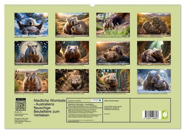 Produktbild: Niedliche Wombats - Australiens flauschige Beuteltiere zum Verlieben (Wandkalender 2027 DIN A2 quer), CALVENDO Monatskalender
