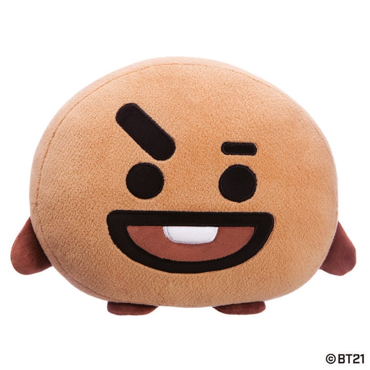 Produktbild: BT21 Shooky Kissen