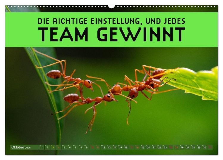 Produktbild: Gemeinsam sind wir stark - motivierende Spr&uuml;che &uuml;ber Teams (hochwertiger Premium Wandkalender 2026 DIN A2 quer), Kunstdruck in Hochglanz