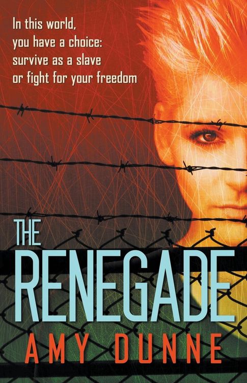 Produktbild: The Renegade