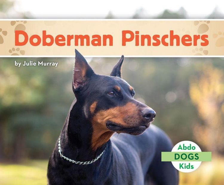 Produktbild: Doberman Pinschers
