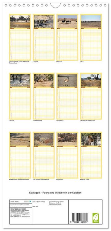Produktbild: Familienplaner 2026 - Kgalagadi - Fauna und Wildtiere in der Kalahari mit 5 Spalten (Wandkalender, 21 x 45 cm) CALVENDO