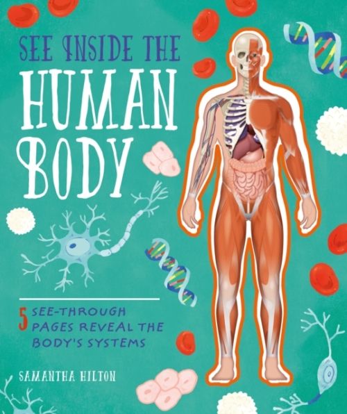Produktbild: Hilton, S: See Inside the Human Body