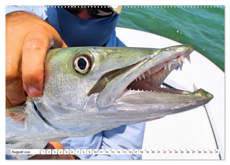 Produktbild: Anglergl&uuml;ck - den Fisch am Haken (Wandkalender 2026 DIN A2 quer), CALVENDO Monatskalender