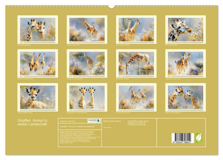 Produktbild: Giraffen. Anmut in weiter Landschaft (hochwertiger Premium Wandkalender 2027 DIN A2 quer), Kunstdruck in Hochglanz