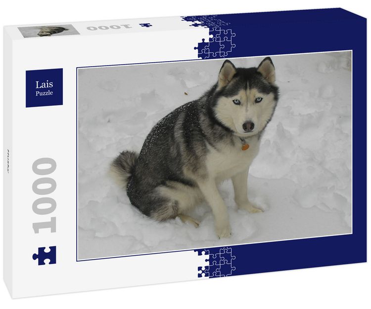 Produktbild: Lais Puzzle Husky 1000 Teile