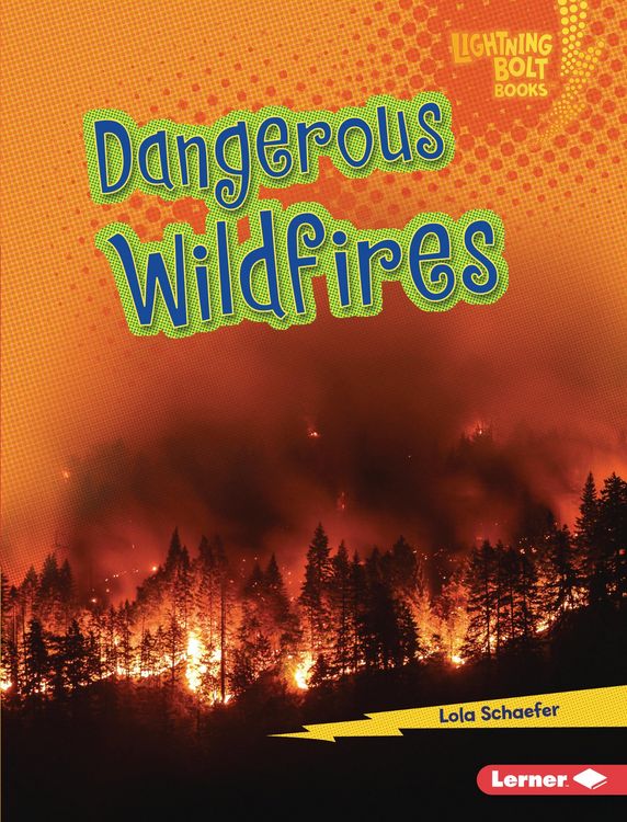Produktbild: Dangerous Wildfires