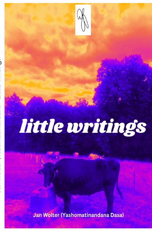 Produktbild: Spiritual Traveler / little writings