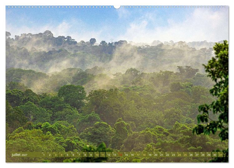 Produktbild: L'Amazone : des Andes &agrave; l'Atlantique (Calendrier mural 2027 DIN A2 vertical), CALVENDO calendrier mensuel