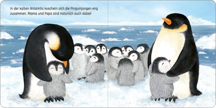 Produktbild: Komm kuscheln, kleine Robbe!