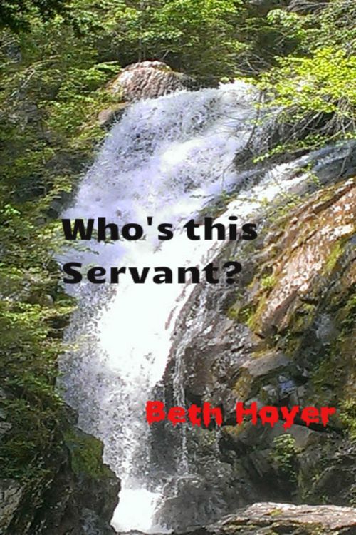 Produktbild: Who's This Servant? (Edenia, #90)
