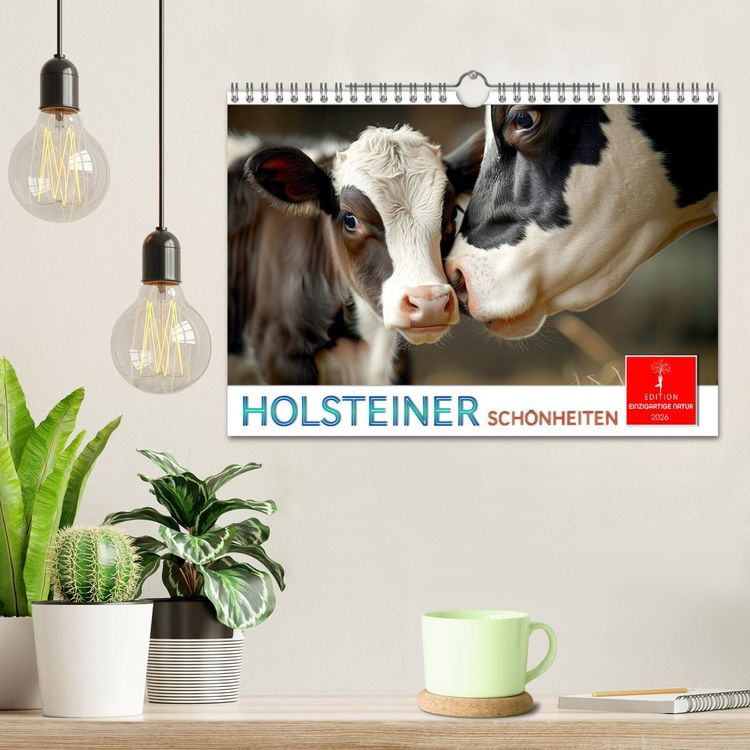 Produktbild: Holsteiner Sch&ouml;nheiten (Wandkalender 2026 DIN A4 quer), CALVENDO Monatskalender