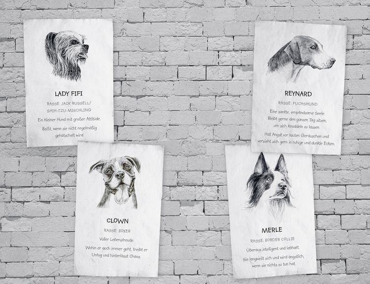 Produktbild: Buddy &ndash; Mein Leben als Stra&szlig;enhund