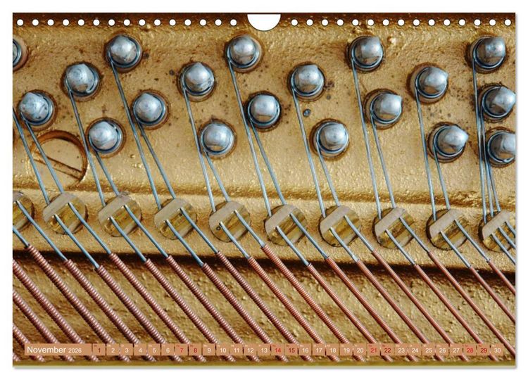 Produktbild: Aus Liebe zur Musik (Wandkalender 2026 DIN A4 quer), CALVENDO Monatskalender