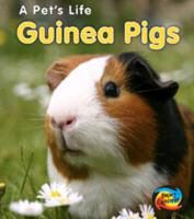 Produktbild: Guinea Pigs