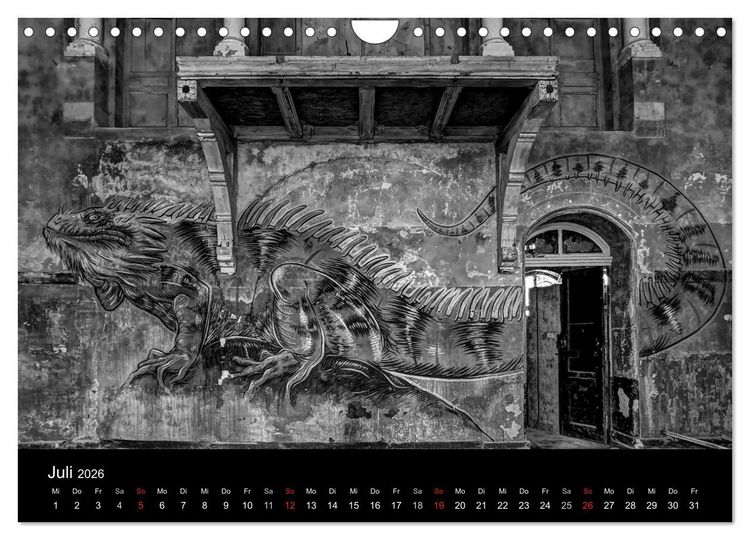 Produktbild: lost beauty (Wandkalender 2026 DIN A4 quer), CALVENDO Monatskalender