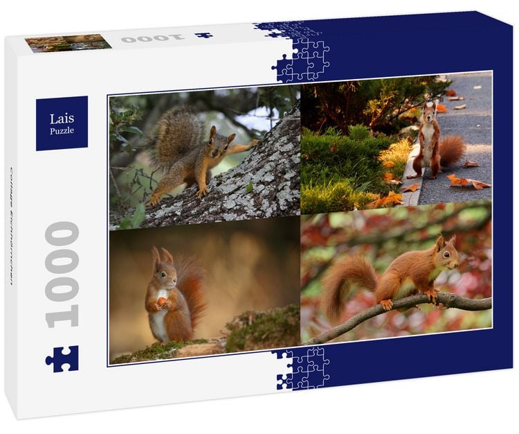 Produktbild: Lais Puzzle Collage Eichh&ouml;rnchen 1000 Teile