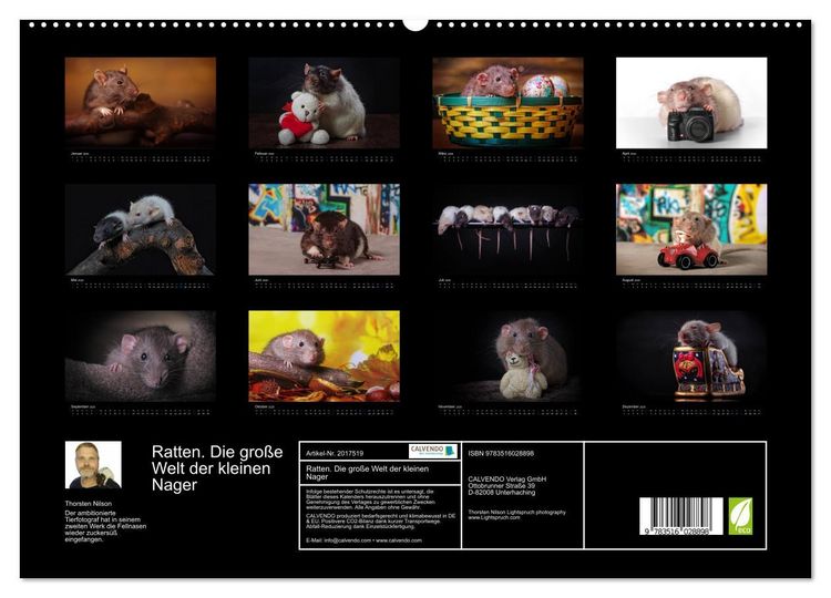 Produktbild: Ratten. Die gro&szlig;e Welt der kleinen Nager (hochwertiger Premium Wandkalender 2026 DIN A2 quer), Kunstdruck in Hochglanz