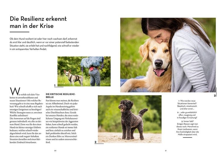 Produktbild: Resilienz bei Hunden
