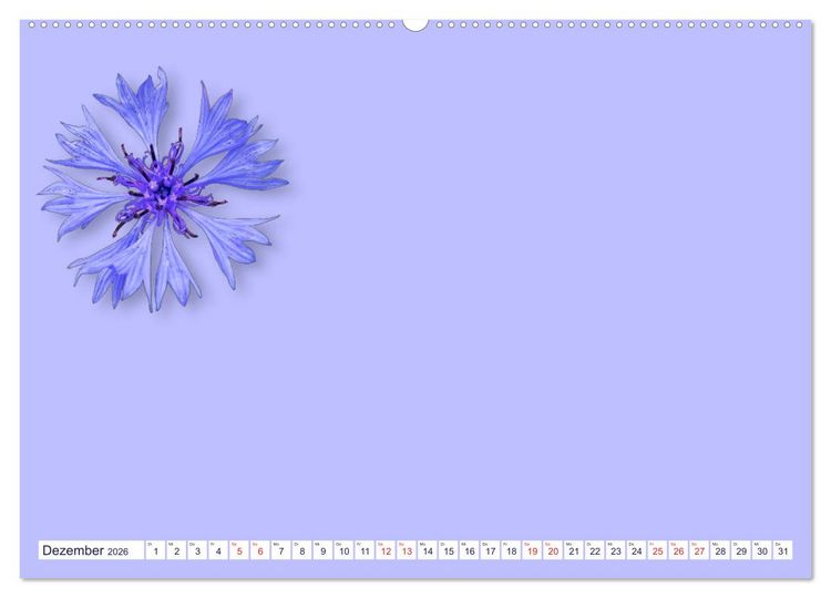 Produktbild: DIY POESIE - BASTELKALENDER (Wandkalender 2026 DIN A2 quer), CALVENDO Monatskalender