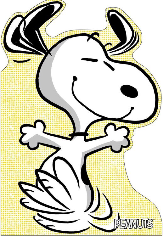 Produktbild: A Best Friend for Snoopy