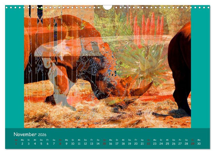 Produktbild: Seelen Bilder (Wandkalender 2026 DIN A3 quer), CALVENDO Monatskalender