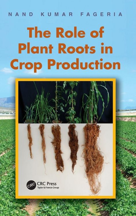 Produktbild: The Role of Plant Roots in Crop Production