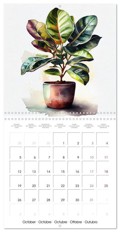 Produktbild: The Art of House Plants (Wall Calendar 2026 12 &times; 12 Inch) CALVENDO 12 Month Wall Calendar