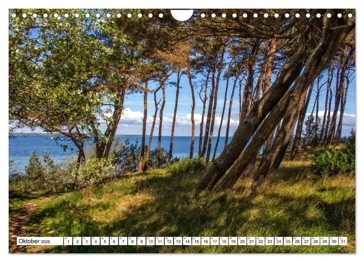 Produktbild: Beckerwitz - Impressionen aus der Wohlenberger Wiek (Wismarer Bucht) (Wandkalender 2026 DIN A4 quer), CALVENDO Monatskalender