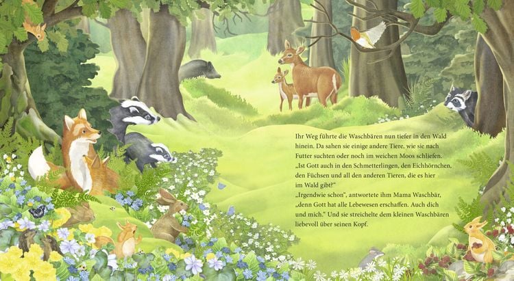Produktbild: Der kleine Waschb&auml;r fragt nach Gott &ndash; ein Bilderbuch f&uuml;r Kinder ab 2 Jahren